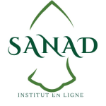 Institut Sanad